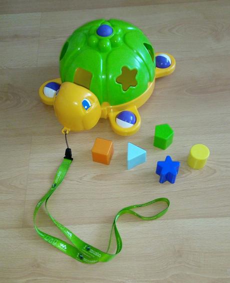 Korytnačka vkladačka, 