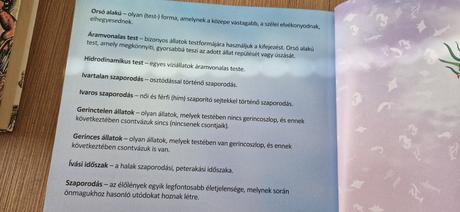 Elsō enciklopediam, 