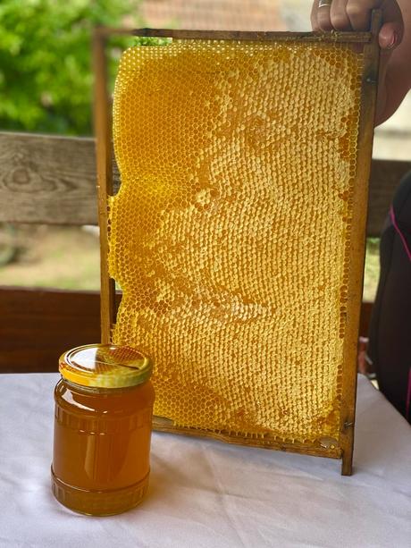 Domáci med priamo od včelára, 