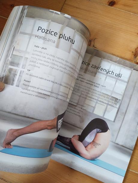 Žijte jogu václav krejčík kniha,