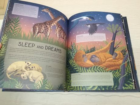 Nicola edwards when the stars come out nsp19,