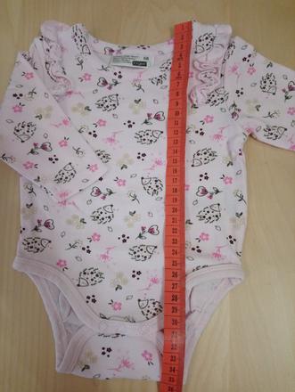 Body, ergee,68