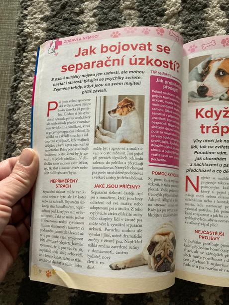 425 skvělých tipů, jak si vybrat nejlepšího pejska, 