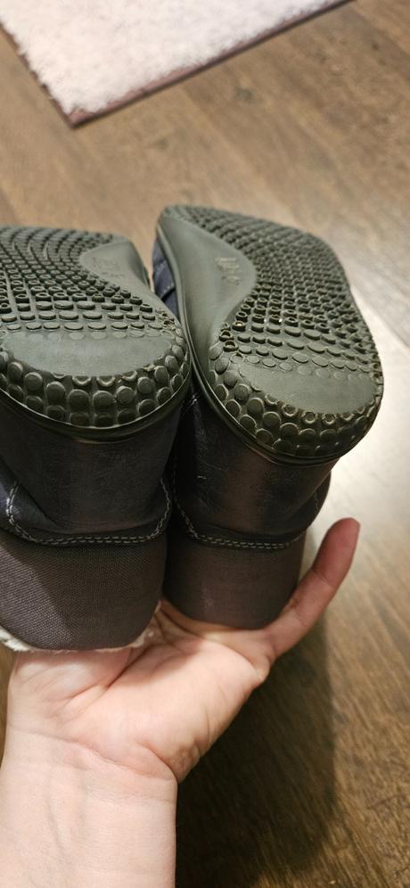 Filii zimne v. 29, filii,29