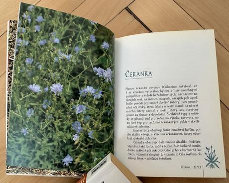 Kniha-zelené koření ii. ln za 4e,