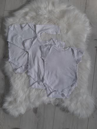 Body next 3x, next,74