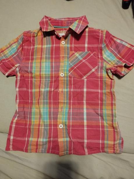 Kosielka ružová, 110