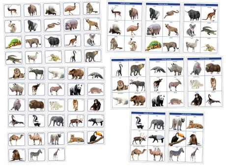 Karty zvieratá exotické pdf formát,