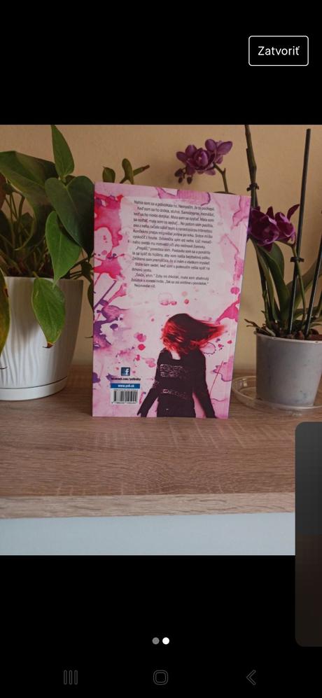 Vymyslela som si ťa, 