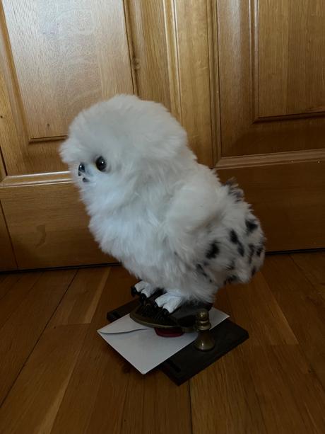 Hedwiga harry potter, 