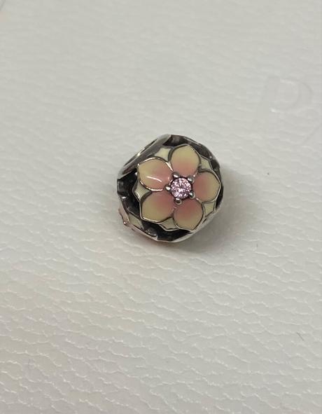 Pandora magnolia, pandora