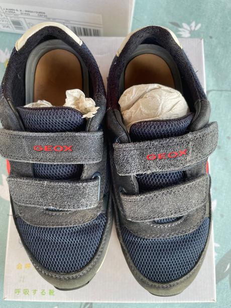 Geox botasky, geox,31