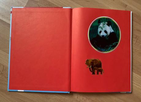 Birgit rieger, knister rieger - čarodejnica lilli,