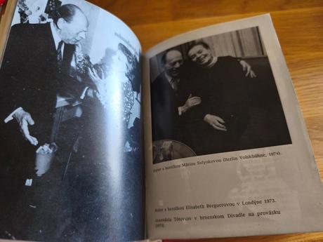 Kniha mladomanželia na mucholapke, 