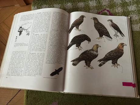 Veľká kniha živočíchov,