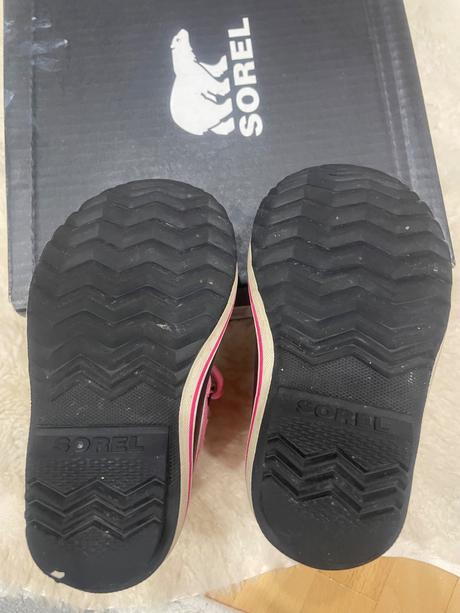 Snehule sorel, sorel,25