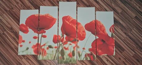 Sada obrazov vlčie maky,