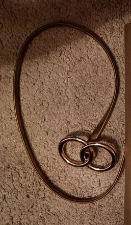 Zlatý kovový opasok, 