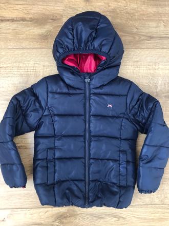 Modrá bunda, palomino,122