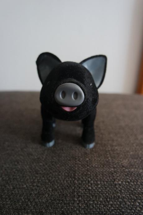 Teacup piggies-roztomilé prasiatko, 