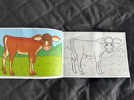 Omaľovánka mláďatká, 