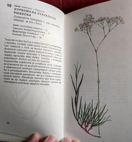 Atlas chránených rastlín, r. 1978, 