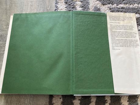 Fotbal to je hra (1987), 