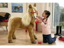 Kde kúpim takéhoto koníka?