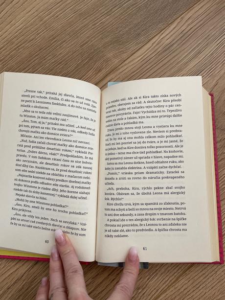 Kniha winston kocúrova tajná misia, 