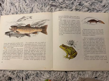 Vtáka poznáš po perí vlka po kožuchu alebo o zvier,