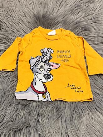 Chlapčenské tričko so psíkmi (62), disney,62