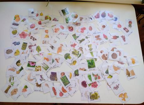 Sada edukačných kartičiek,