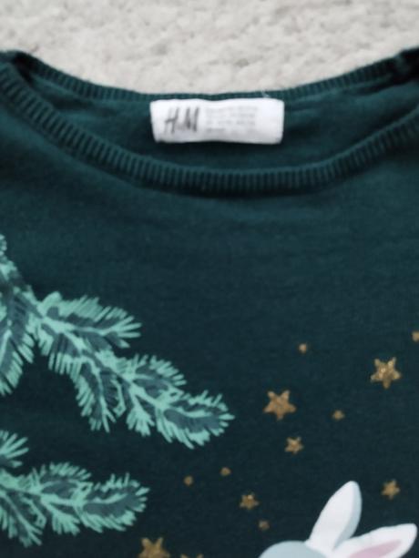 Svetrik so zimnym motivom, h&m,116