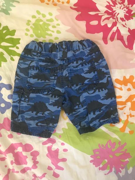 Kratase, palomino,92