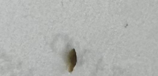 Čo môže byť v umelom mlieku Beba Comfort 1?