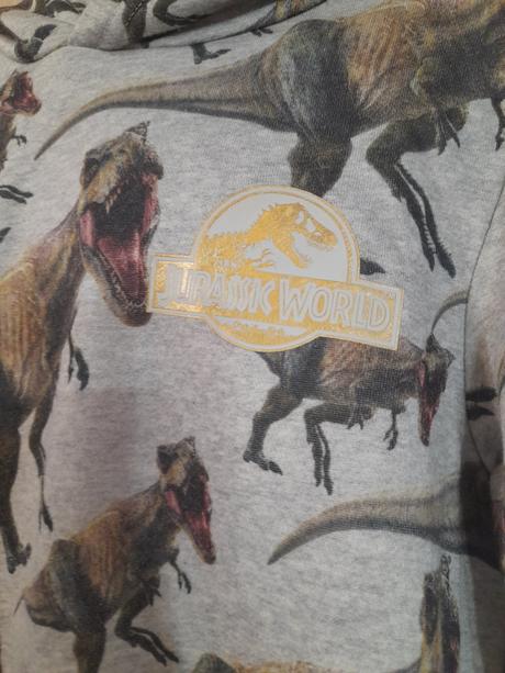Mikina s dinosaurami 134/140, h&m,140