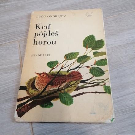 Keď pôjdeš horou,