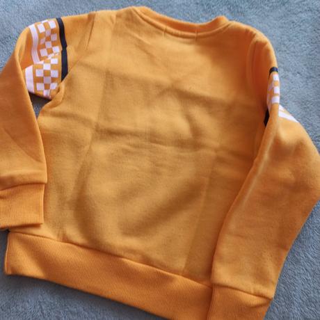 Hrubšia mikina, 116