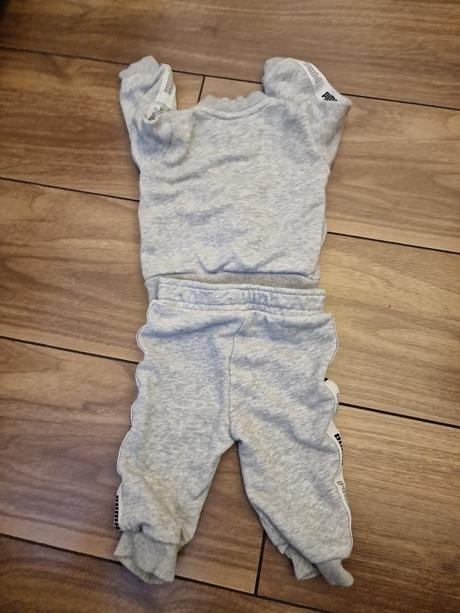 Puma suprava, puma,62