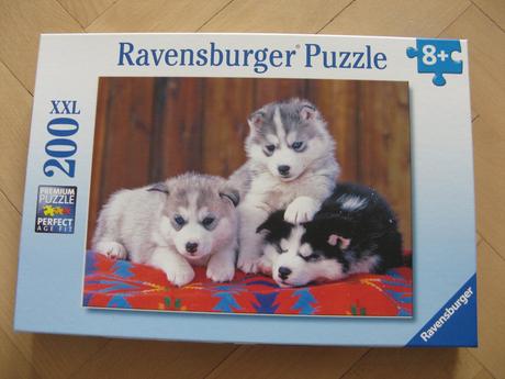 Puzzle husky,