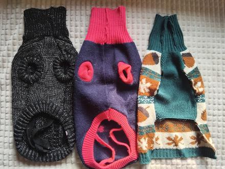 Svetriky pre psa, 