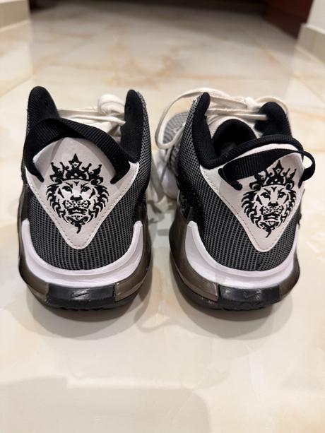 Nike lebron, nike,37