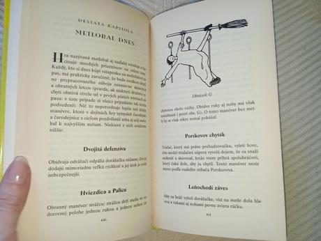 Harry potter metlobal v priebehu vekov, 