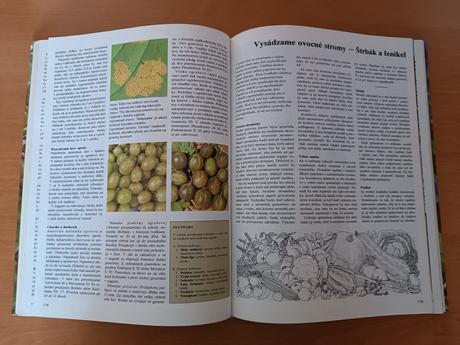 Jeseň v záhrade (1982), 