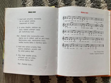 Škola za rohom alebo nezbedy školáka šuška (2011),