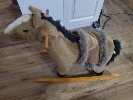 Húpací koník vydáva zvuky, 