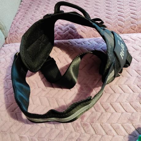 Postroj pre veľkého psika,