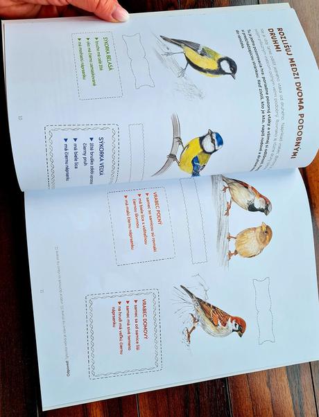 Montessori zosit aktivit vtaky,