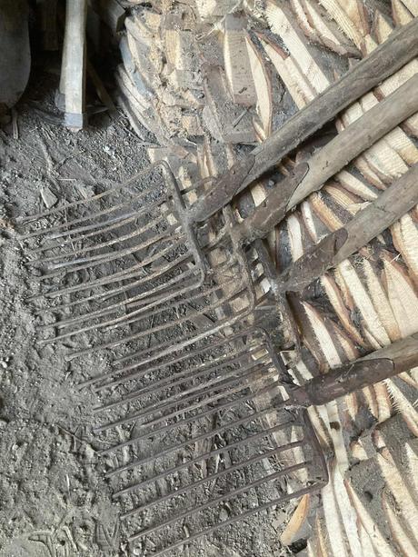 Staré náradie vidly s drevenou rukoveťou,,