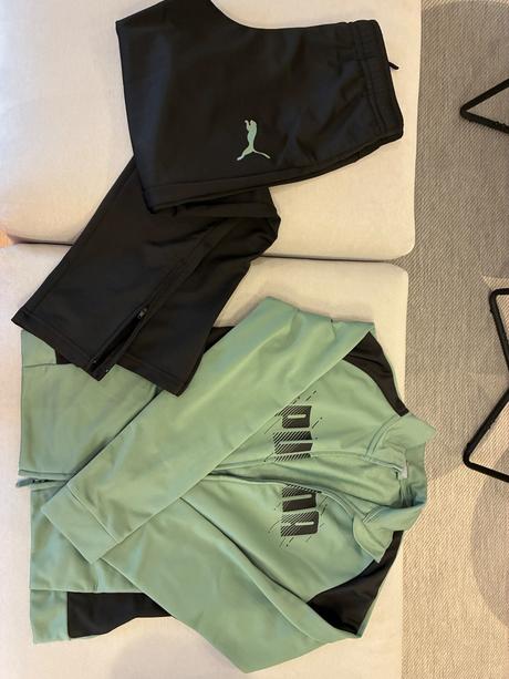 Teplakova suprava puma, puma,152